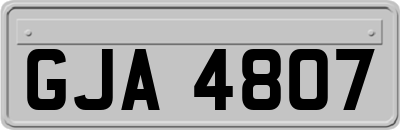 GJA4807