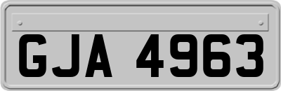 GJA4963
