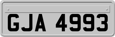 GJA4993