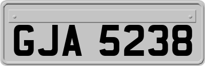 GJA5238