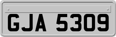 GJA5309