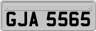GJA5565