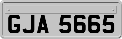 GJA5665