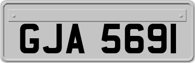 GJA5691