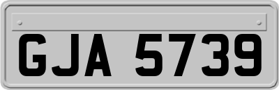 GJA5739