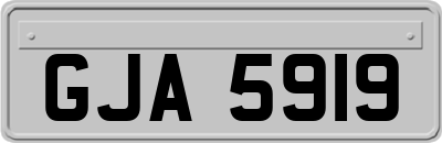 GJA5919