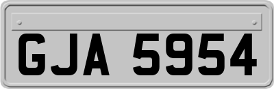 GJA5954