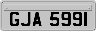 GJA5991