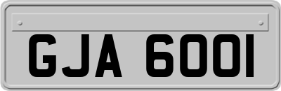 GJA6001