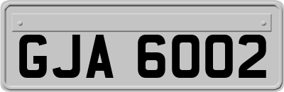 GJA6002
