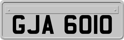 GJA6010