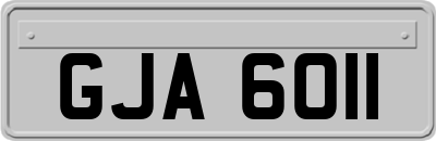 GJA6011