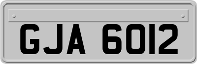 GJA6012