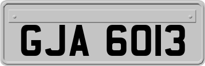GJA6013