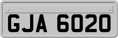 GJA6020