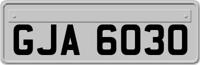 GJA6030