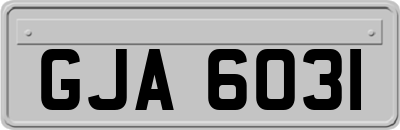 GJA6031