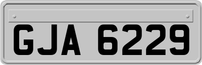 GJA6229