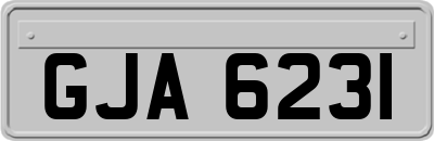 GJA6231