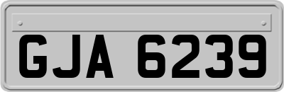 GJA6239