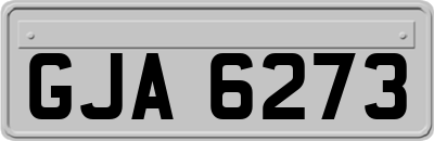 GJA6273