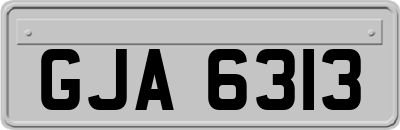 GJA6313