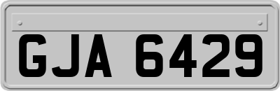 GJA6429