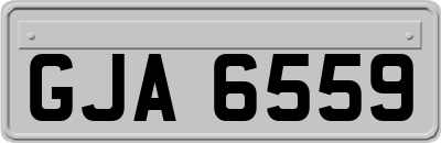 GJA6559