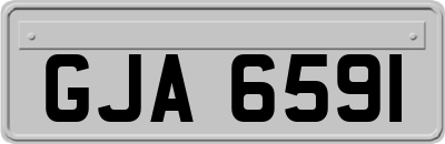GJA6591