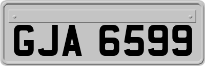 GJA6599