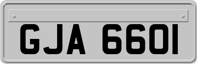 GJA6601