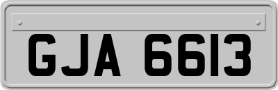 GJA6613