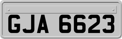 GJA6623