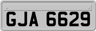 GJA6629