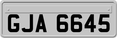 GJA6645