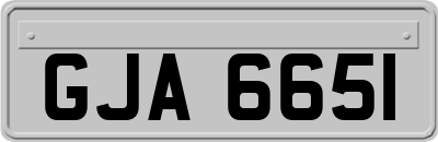 GJA6651