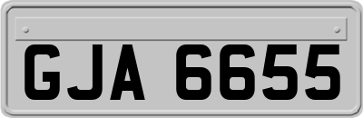GJA6655