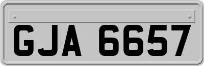 GJA6657