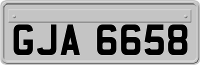 GJA6658