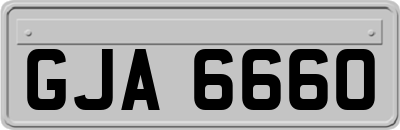GJA6660