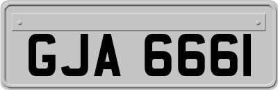 GJA6661