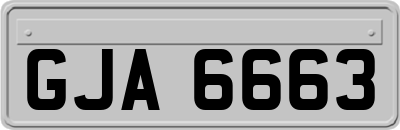 GJA6663