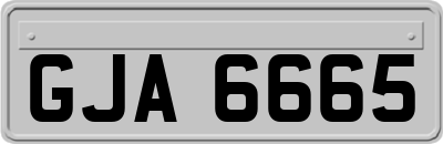 GJA6665