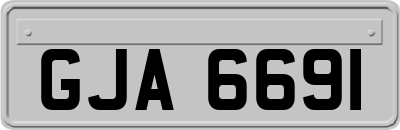 GJA6691