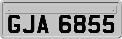 GJA6855
