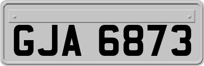 GJA6873
