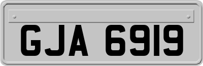 GJA6919