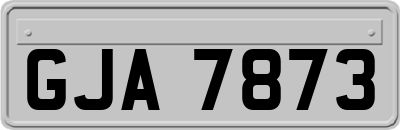 GJA7873
