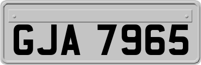 GJA7965