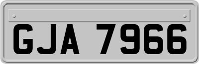 GJA7966